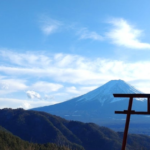 SNS集客導線代行｜申込みにつながる導線を整えるプラチナコース