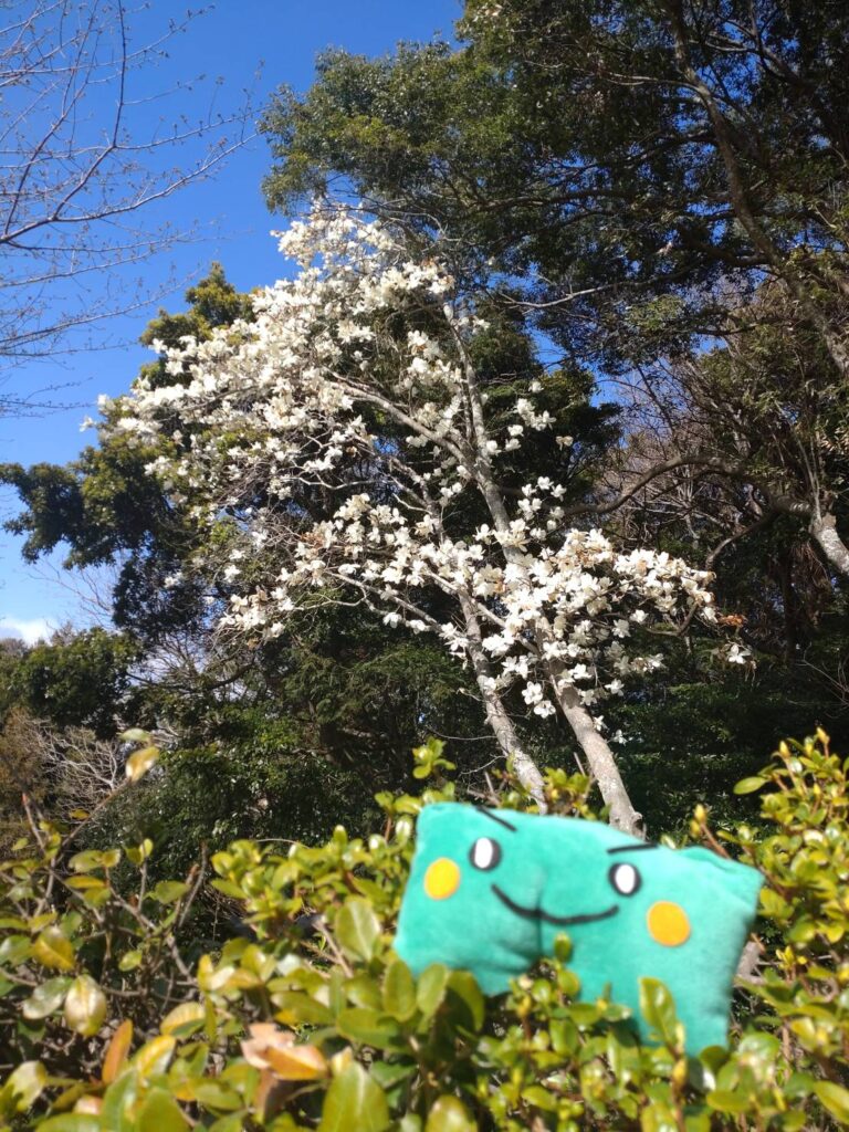 日本平ホテル庭園の花