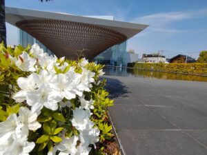 富士山世界遺産センター|ゆっくり登る感動と絶景展望台