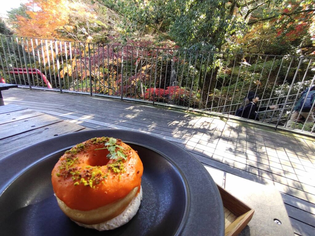 湯河原万葉公園で人気のみかんドーナツ｜優しい甘さのスイーツ