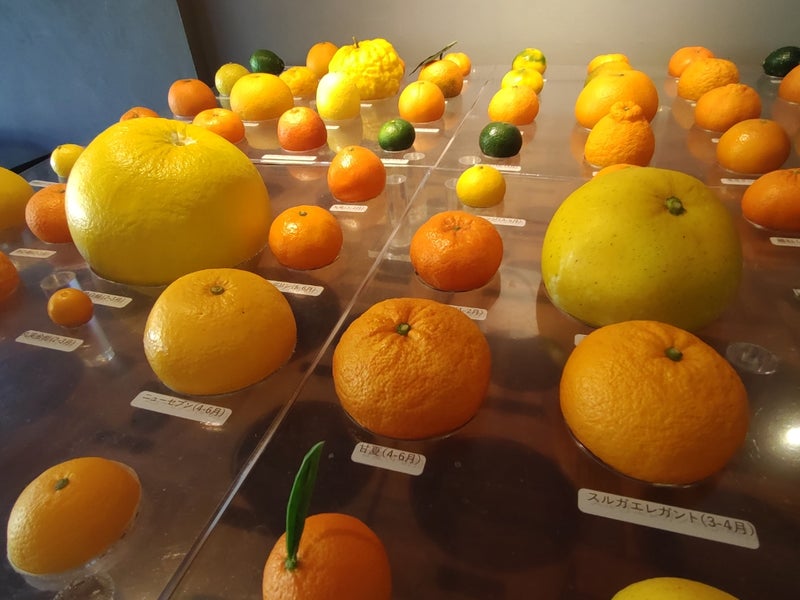 湯河原万葉公園 玄関テラス｜自然に囲まれた癒しの休憩スペース