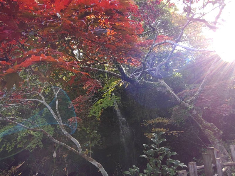 湯河原万葉公園の滝と紅葉｜自然に癒される絶景スポット