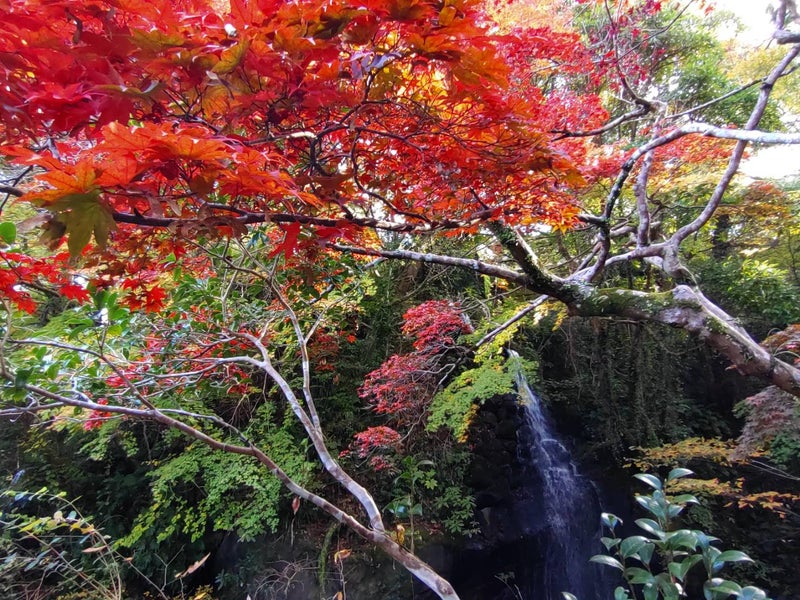 湯河原万葉公園の滝と紅葉｜自然に癒される絶景スポット