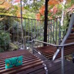 湯河原万葉公園 玄関テラス｜滝と紅葉が美しい癒しスポット