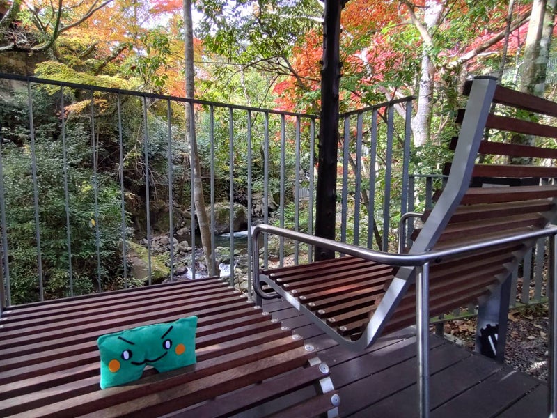 湯河原万葉公園 玄関テラス｜滝と紅葉が美しい癒しスポット